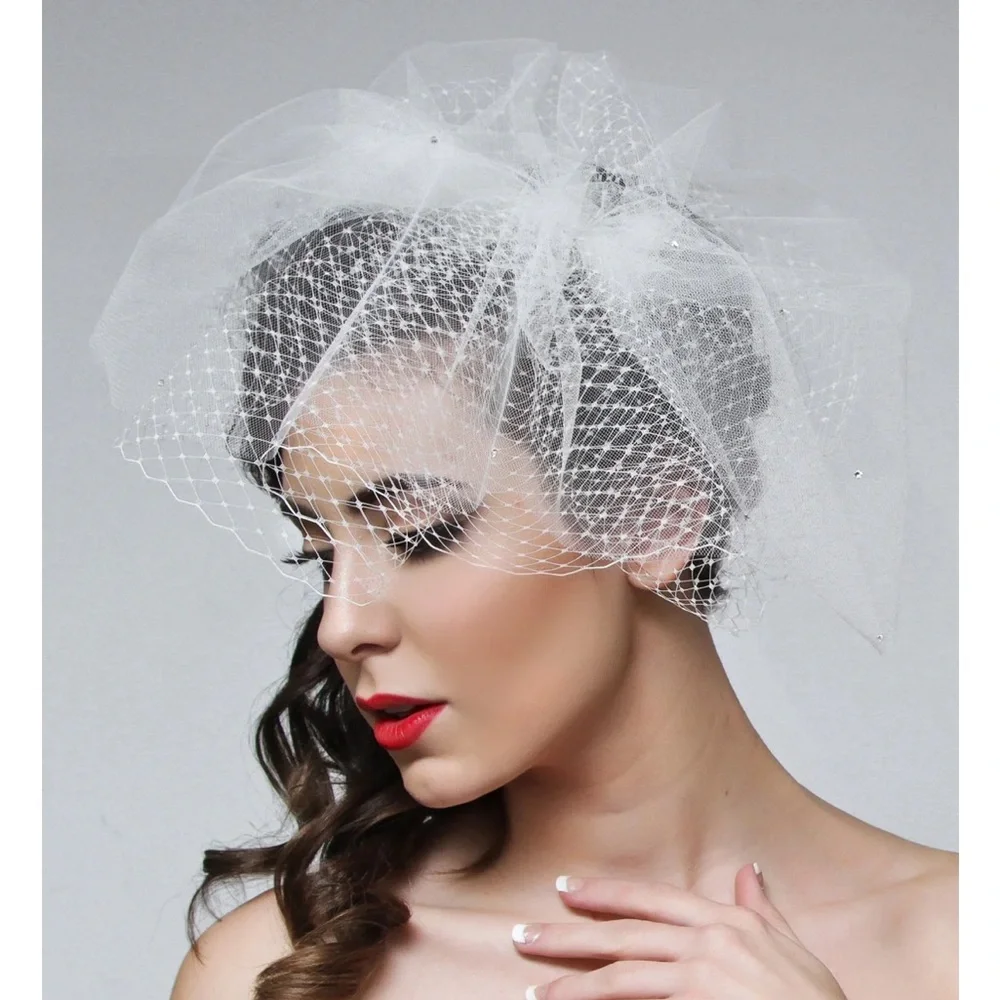 Ariel Taub Antoinette Birdcage Veil w/ swarovski crystals